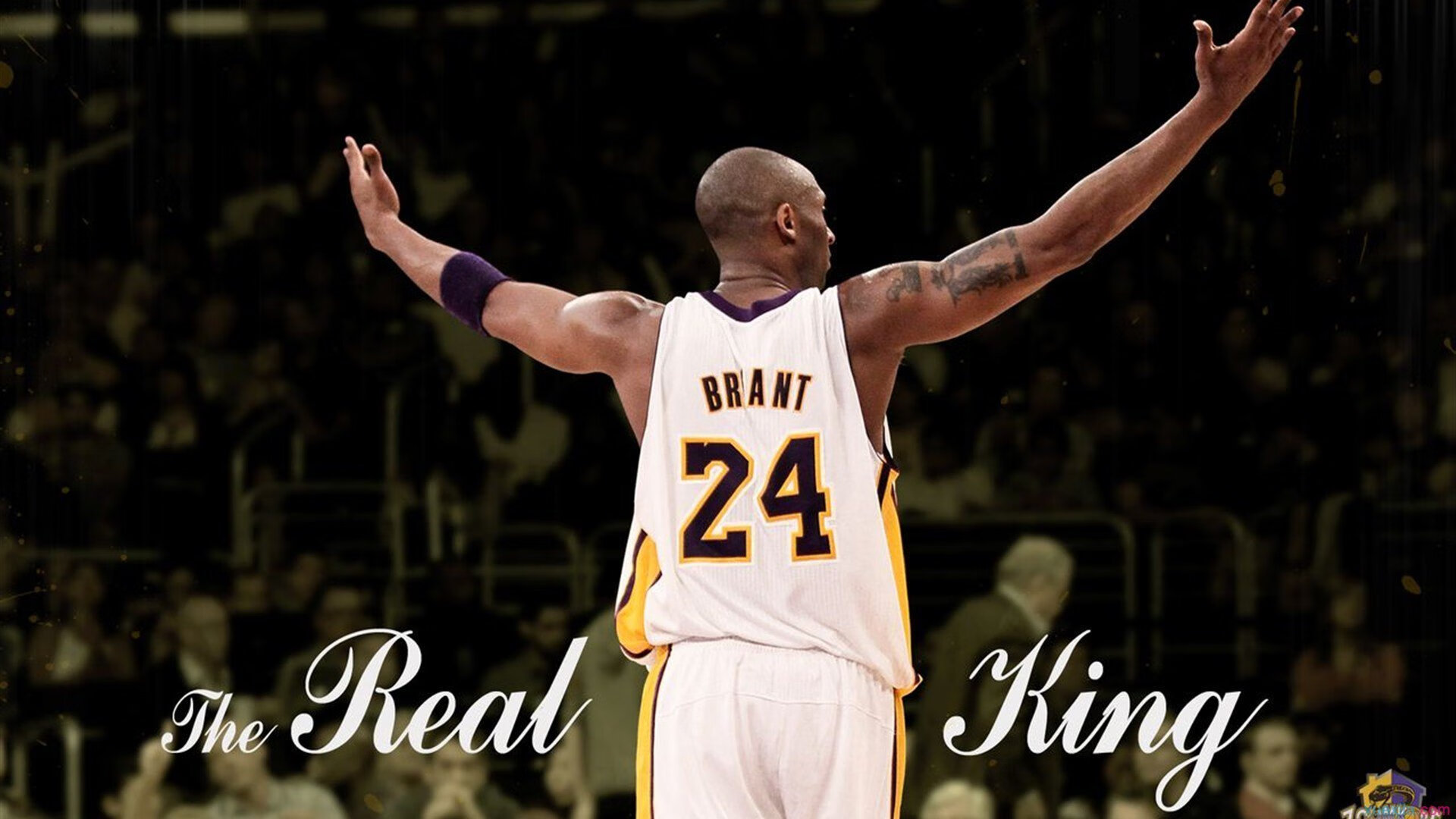 独行侠末节风暴,爱德华兹关键先生崛起,太阳陨落记